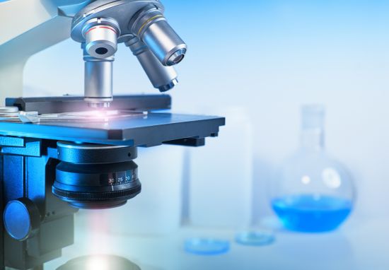 Portugal 2030: candidaturas Vales Inovação para biotecnologia azul