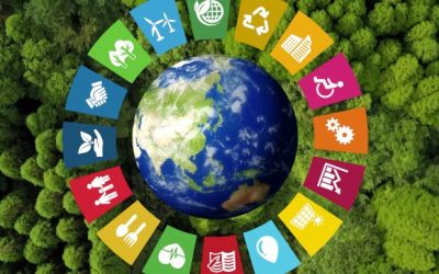 Transição ESG | Revisão das normas europeias de reporte em consulta pública