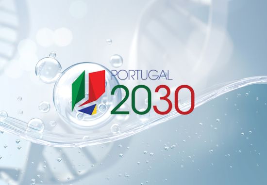 Portugal 2030 lança Avisos STEP para I&D&I Empresarial nas áreas de Energia, Digital e Biotecnologia