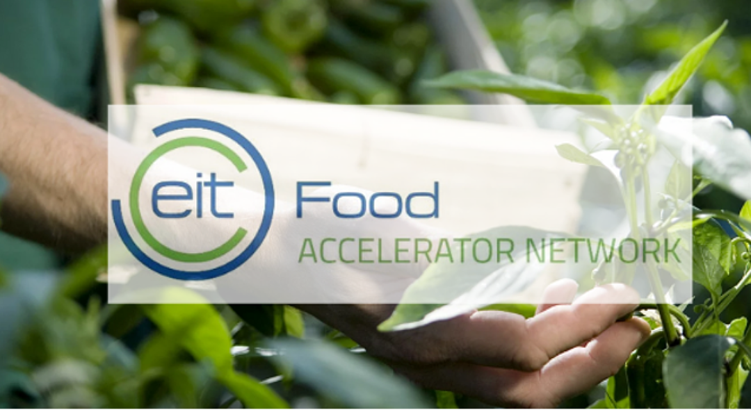 Candidaturas abertas: Call for Startups 2026 do EIT Food Accelerator Network