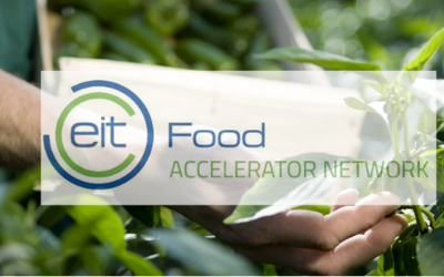 Candidaturas abertas: Call for Startups 2026 do EIT Food Accelerator Network